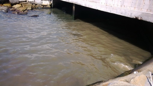 Bordighera: scarico dello scolmatore del Rio Cà Bianca ostruito, la segnalazione (con foto) di un lettore Bordighera: scarico dello scolmatore del Rio Cà Bianca ostruito, la segnalazione (con foto) di un lettore