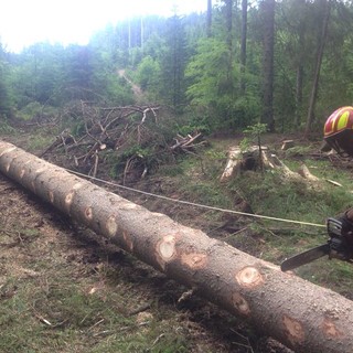 studente al al lavoro durante stage in Slovenia