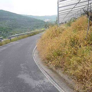 Provincia: Giordano (PD) interviene su strade dell'entoterra