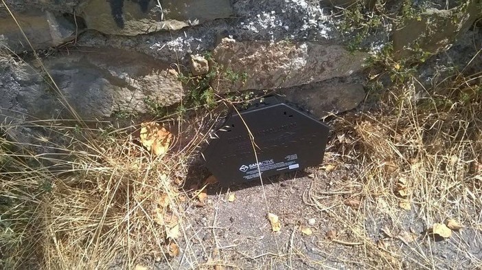 Santo Stefano al Mare: lotta ai ratti, l'amministrazione interviene con una nuova derattizzazione Santo Stefano al Mare: lotta ai ratti, l'amministrazione interviene con una nuova derattizzazione