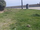 Sanremo: spuntone in ferro piantato in un'aiuola, un papà ne segnala la pericolosità (foto)