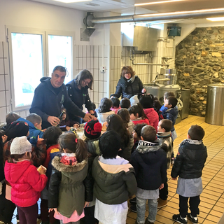 Imperia: gli alunni della scuola dell’infanzia di via Armelio in visita al frantoio ‘Ramoino’ di Borgo D’Oneglia