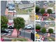 Ventimiglia, siepe a rischio crollo in corso Genova: traffico deviato (Foto)