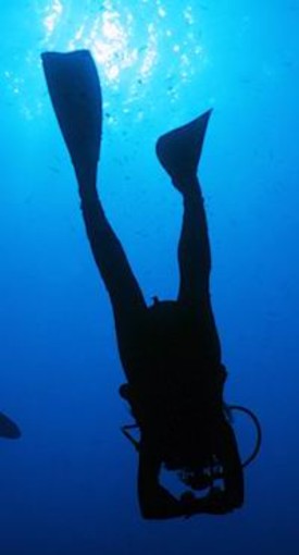 Sanremo: sabato la terza edizione di "M'immergo insieme"