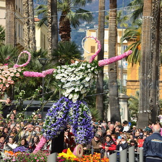 In attesa di 'San Silvestro' ci sono buone notizie per il 2017: Varnero "Abbiamo già grande interesse per il corso fiorito!"