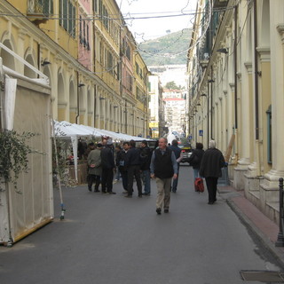 Imperia: scatta domani l'appuntamento più atteso, al via 'Olioliva 2010'
