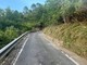 Camporosso, maggiore visibilità e sicurezza: pulizia e trinciatura sulla strada provinciale 71 (Foto) Camporosso, maggiore visibilità e sicurezza: pulizia e trinciatura sulla strada provinciale 71 (Foto)