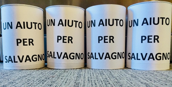 Imperia: "Un aiuto per Salvagno". Parte la raccolta fondi per pagare le spese mediche sostenute dalla famiglia dell'agronomo colpito all'occhio durante le Vele d'Epoca