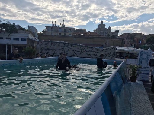 Imperia: ha riscosso successo la collaborazione tra Rari Nantes Imperia e Polizia di Stato alle Vele d’Epoca