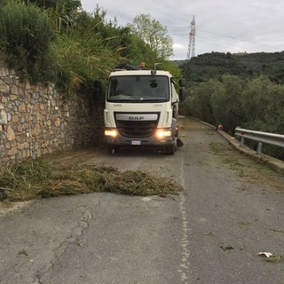 San Bartolomeo al Mare, prosegue lo sfalcio e la pulizia di strade e cunette (foto)
