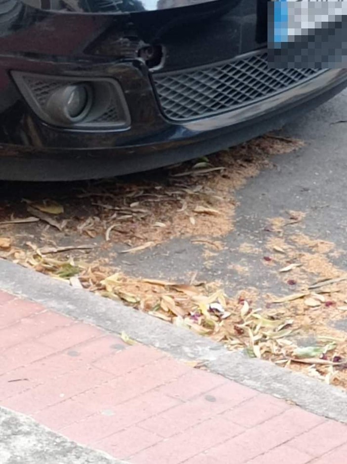 Ventimiglia, "deiezioni canine e sporcizia in via Dante": la segnalazione (Foto)