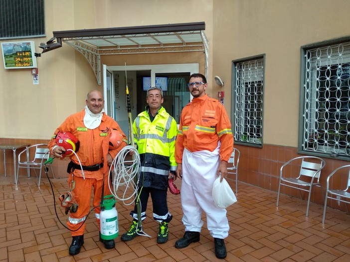 Vallecrosia: è operativa la nuova squadra della protezione civile specializzata contro le vespe velutine