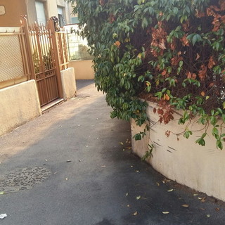 Ventimiglia: ordinanza di pulizia di rii, corsi d'acqua e fondi, un lettore invita a rispettarla