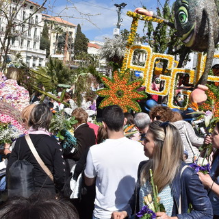 'Sanremo In Fiore 2025': i carri e lo spettacolo dei fiori domenica prossima in diretta sui giornali del gruppo More News 'Sanremo In Fiore 2025': i carri e lo spettacolo dei fiori domenica prossima in diretta sui giornali del gruppo More News
