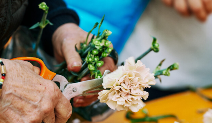 Sanremo in Fiore, il Roseto di via Escoffier tra le attrazioni simbolo del Festival dei Fiori