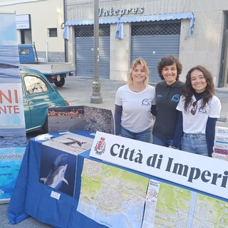 A Sanremo il fiore torna protagonista per rendere omaggio al celebre Italo Calvino nel centenario dalla sua nascita