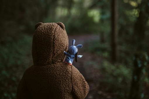 Il primo safari si fa in cameretta: peluche, fantasia e scoperta del mondo animale