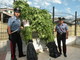 Vallecrosia: da un allacciamento abusivo ad un tubo dell'acqua i carabinieri scoprono 51 piante di marijuana