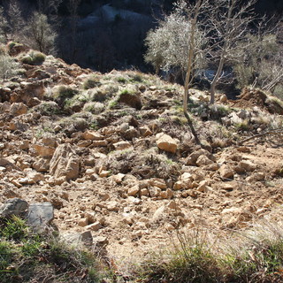 Un'immagine del sopralluogo sulla maxi frana di Carpasio, era il l 28 gennaio 2014 Un'immagine del sopralluogo sulla maxi frana di Carpasio, era il l 28 gennaio 2014