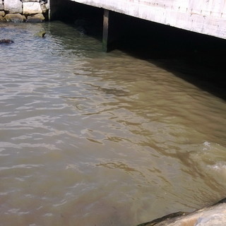 Bordighera: scarico dello scolmatore del Rio Cà Bianca ostruito, la segnalazione (con foto) di un lettore Bordighera: scarico dello scolmatore del Rio Cà Bianca ostruito, la segnalazione (con foto) di un lettore