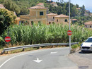 Il tratto di strada Noci Il tratto di strada Noci