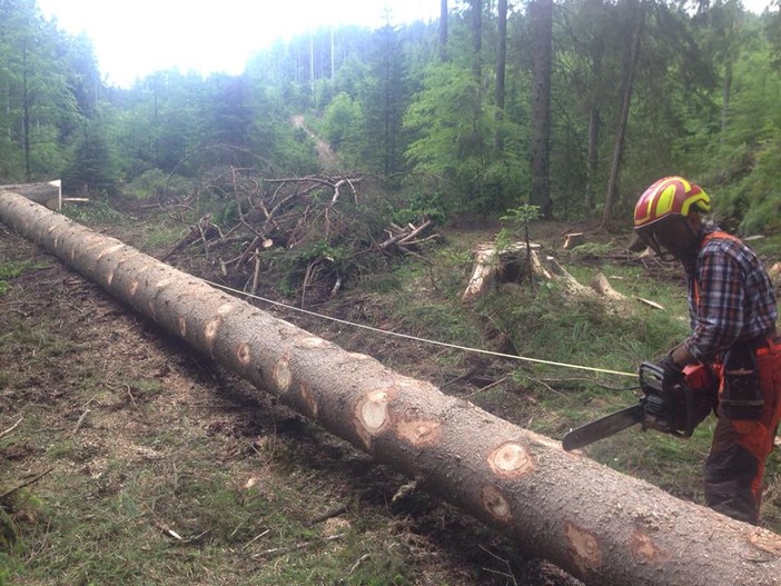 studente al al lavoro durante stage in Slovenia studente al al lavoro durante stage in Slovenia