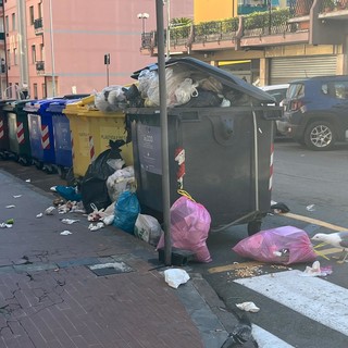 Ventimiglia, "bidoni strapieni e rifiuti abbandonati attirano piccioni e gabbiani": la segnalazione