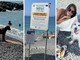 Ospedaletti, tutti pazzi per la Pet's beach area: in spiaggia turisti e cani da tutta Italia (Foto)