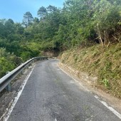 Camporosso, maggiore visibilità e sicurezza: pulizia e trinciatura sulla strada provinciale 71 (Foto)