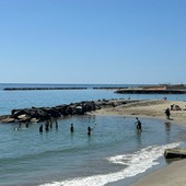 Parte la stagione balneare 2026: tutte promosse le spiagge dell'imperiese Parte la stagione balneare 2026: tutte promosse le spiagge dell'imperiese