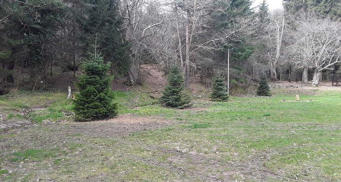 Sanremo, il Comune rilancia la rivoluzione sostenibile con tanti eventi green (foto)