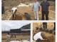 Riva Ligure: è partita questa mattina la campagna di scavi archeologici 2016 di Capo Don