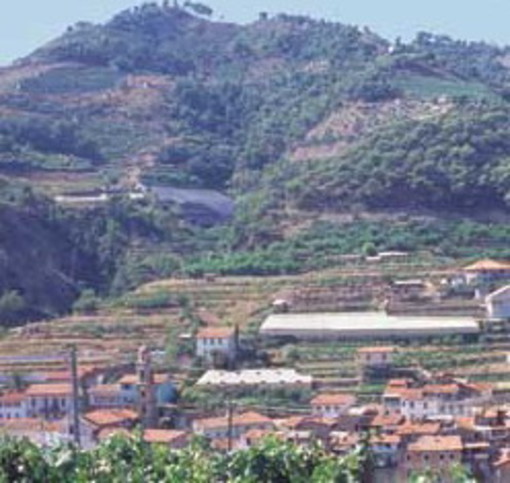 Soldano: Antonio Fimmanò tuona dopo il Decreto "Il Comune ha 1009 abitanti!"