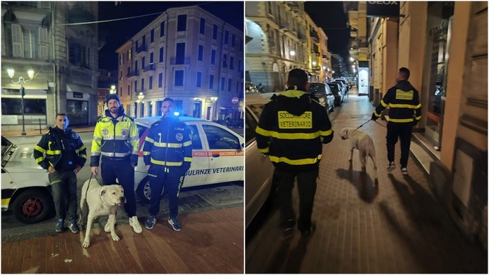 Ventimiglia, parte il servizio notturno di vigilanza del territorio di Ambulanze Veterinarie Odv (Foto)