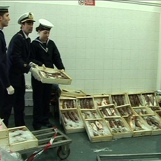 Imperia: serie di controlli della Guardia Costiera sui prodotti ittici anche sulla A10