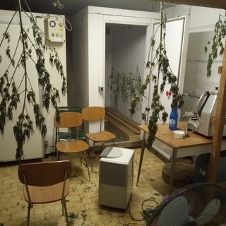 Imperia: polizia arresta 27enne italiano, in casa aveva 10 kg di marijuana e il materiale per il confezionamento