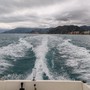 Motonautica elettrica a Monaco: ambientalisti e ricercatori chiedono lo stop alla E1 Series nel Santuario Pelagos