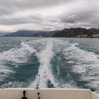 Motonautica elettrica a Monaco: ambientalisti e ricercatori chiedono lo stop alla E1 Series nel Santuario Pelagos