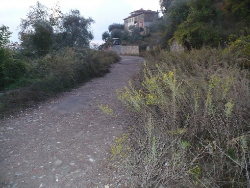 Sanremo: problemi di viabilità a Verezzo, lettrice chiede l'interessamento di Bellini