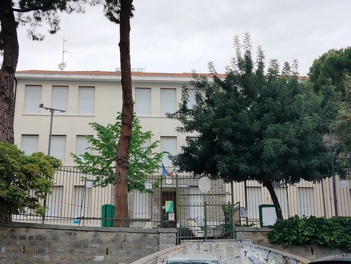 Sanremo, albero a rischio nella primaria Asquasciati: richiesta verifica urgente dal consigliere Ventimiglia