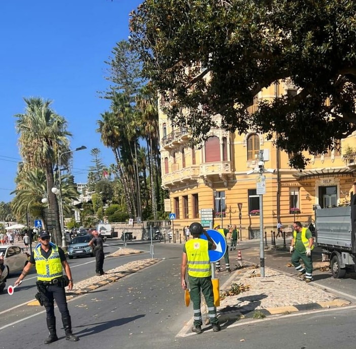 Sanremo: sfoltitura straordinaria del ficus di Via Nuvoloni, giardinieri e Polizia al lavoro (Foto) Sanremo: sfoltitura straordinaria del ficus di Via Nuvoloni, giardinieri e Polizia al lavoro (Foto)
