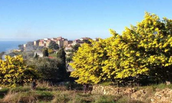 Seborga; domenica appuntamento con 'La Caccia al tesoro delle Bandiere Arancioni' Seborga; domenica appuntamento con 'La Caccia al tesoro delle Bandiere Arancioni'