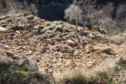 Un'immagine del sopralluogo sulla maxi frana di Carpasio, era il l 28 gennaio 2014