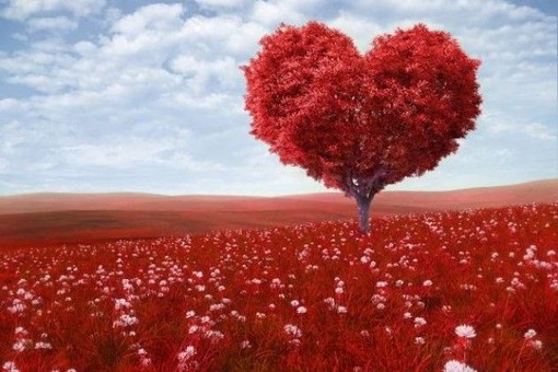 San Valentino 2022 - Festa degli Innamorati