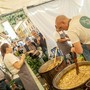 Badalucco, tremila porzioni di stoccafisso nell'anno dei prezzi record: il Festival non cambia la sua ricetta Badalucco, tremila porzioni di stoccafisso nell'anno dei prezzi record: il Festival non cambia la sua ricetta