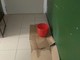 Ventimiglia: all’istituto Marco Polo temperature sotto i dieci gradi, gli studenti si preparano allo sciopero (Foto) Ventimiglia: all’istituto Marco Polo temperature sotto i dieci gradi, gli studenti si preparano allo sciopero (Foto)