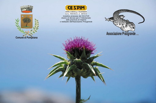 Questo fine settimana, due eventi nel Sic (sito di interesse comunitario) di Pompeiana Questo fine settimana, due eventi nel Sic (sito di interesse comunitario) di Pompeiana