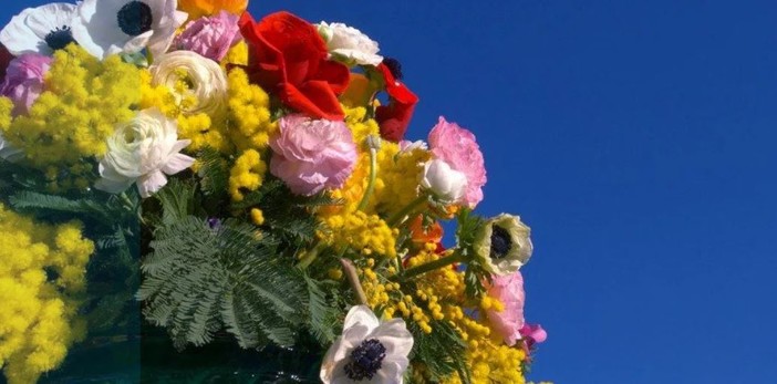 Speciale Weekend: fiori, cultura e sport, ecco dove andare e cosa vedere in provincia di Imperia