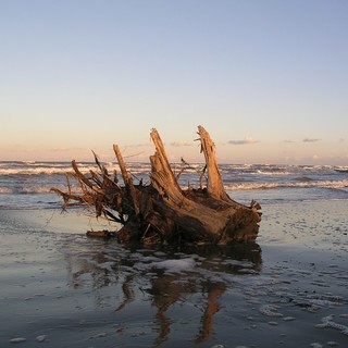 'PuliAMO Ventimiglia': il prossimo appuntamento dedicato alla pulizia delle spiagge è per domenica prossima 'PuliAMO Ventimiglia': il prossimo appuntamento dedicato alla pulizia delle spiagge è per domenica prossima