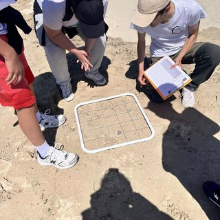 Sanremo, terzo tentativo di nidificazione per una Caretta caretta: nessun uovo sulla spiaggia Sanremo, terzo tentativo di nidificazione per una Caretta caretta: nessun uovo sulla spiaggia